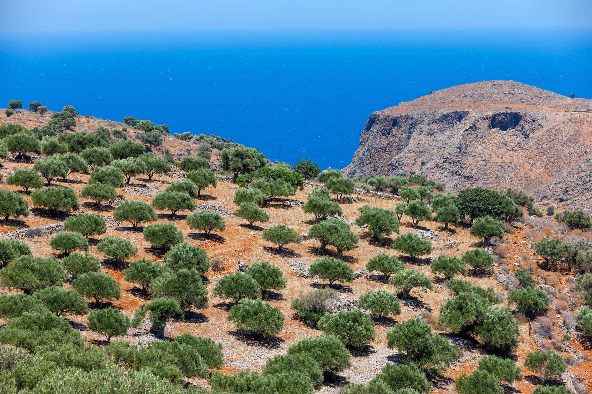 self-drive-crete