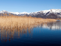 Prespa Lake