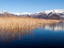 Prespa Lake