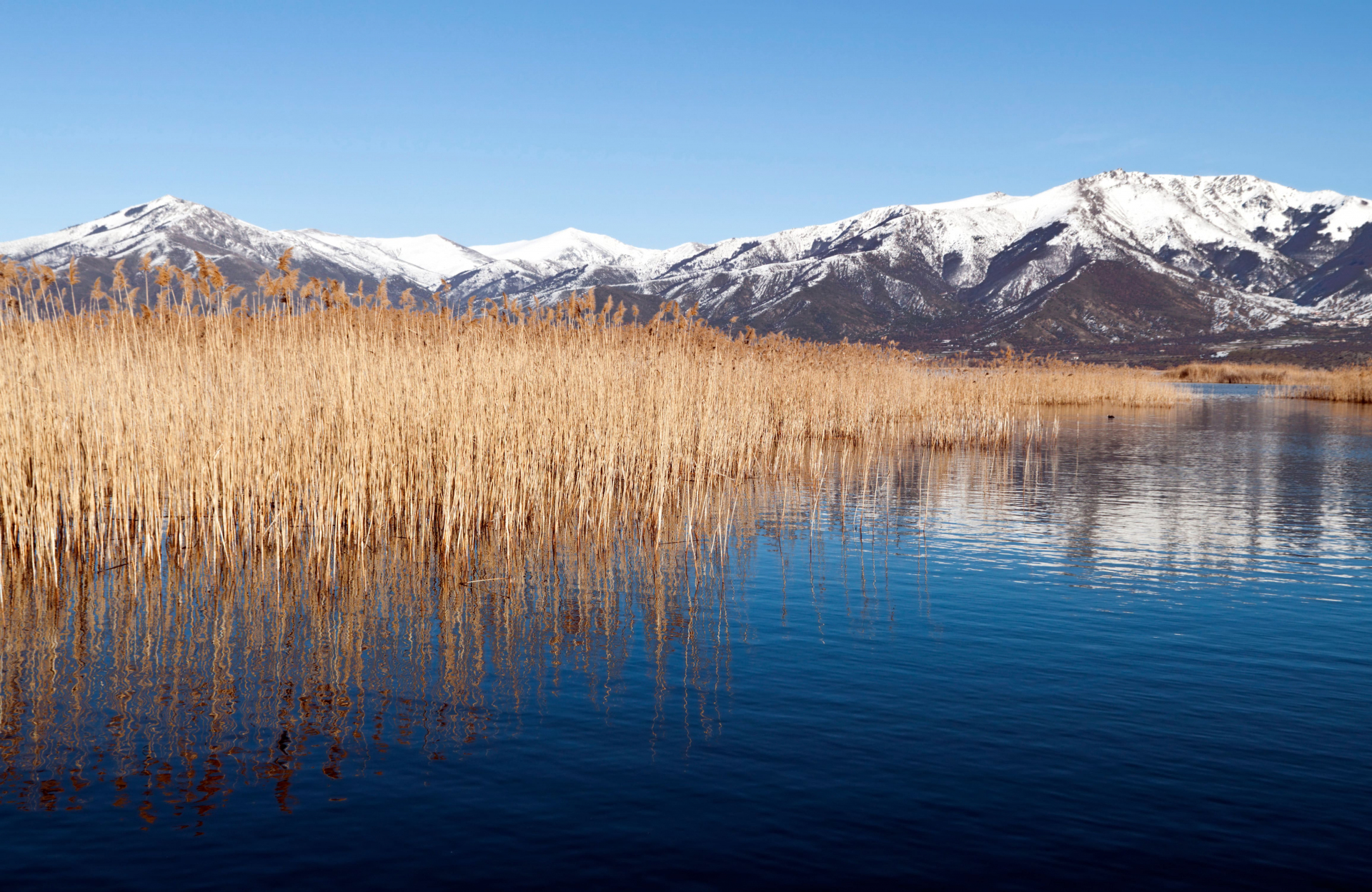 Prespa Lake