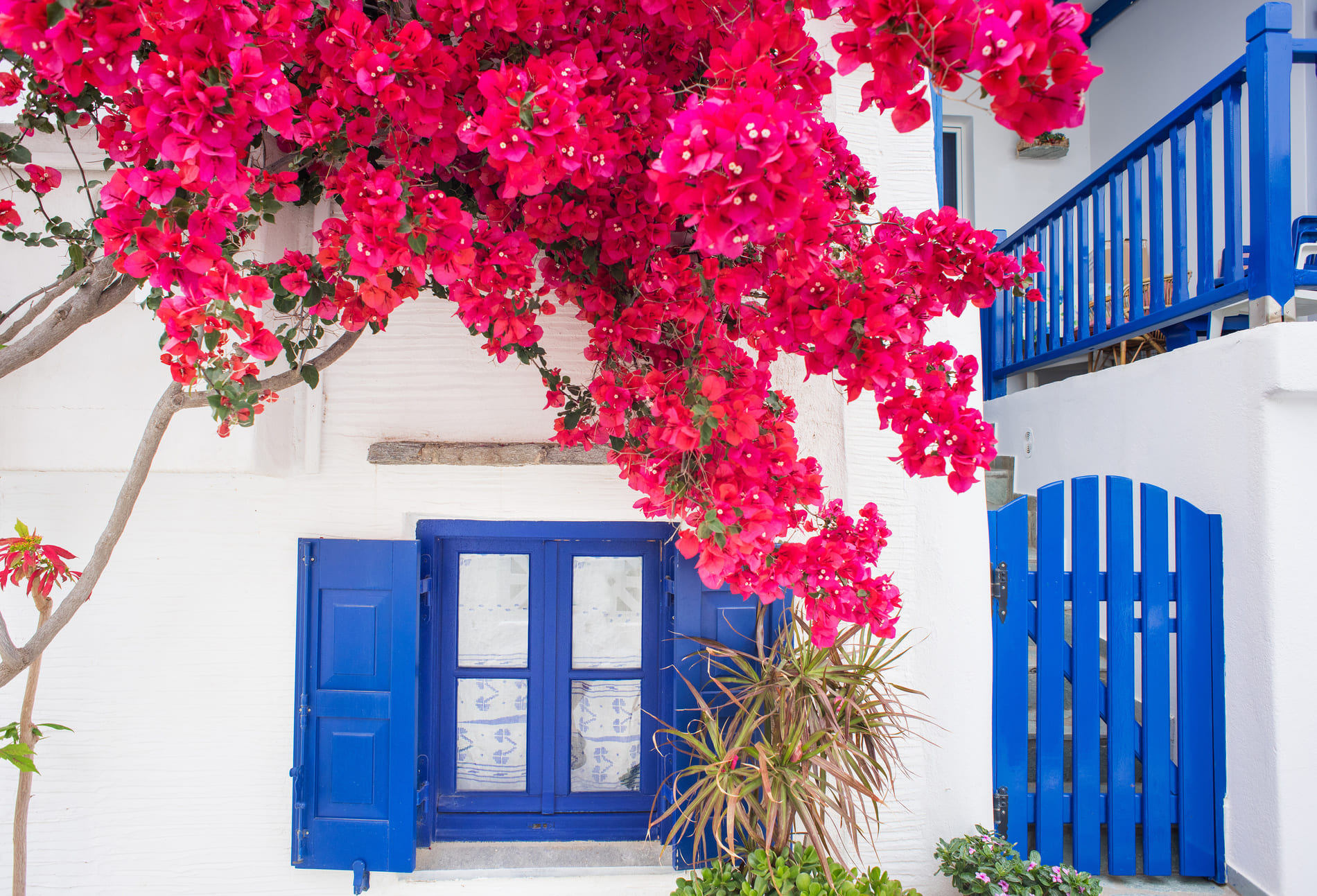 paros-greece