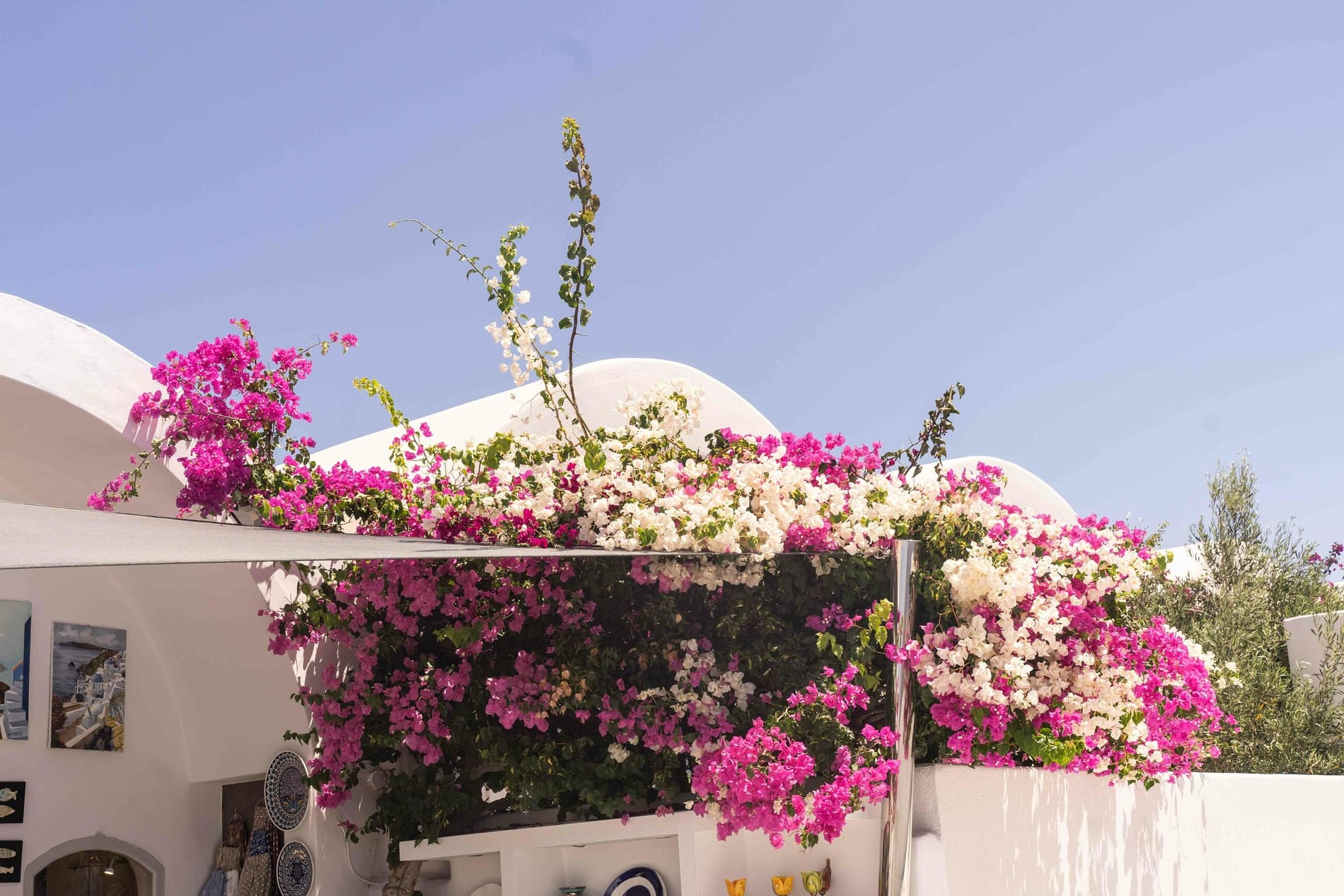 Our travel agency in Greece