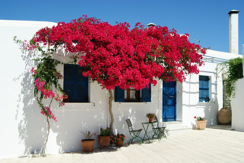 Paros