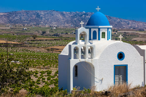 Vineyards in Santorini