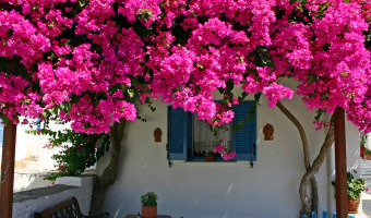 request-quote-trip-greece