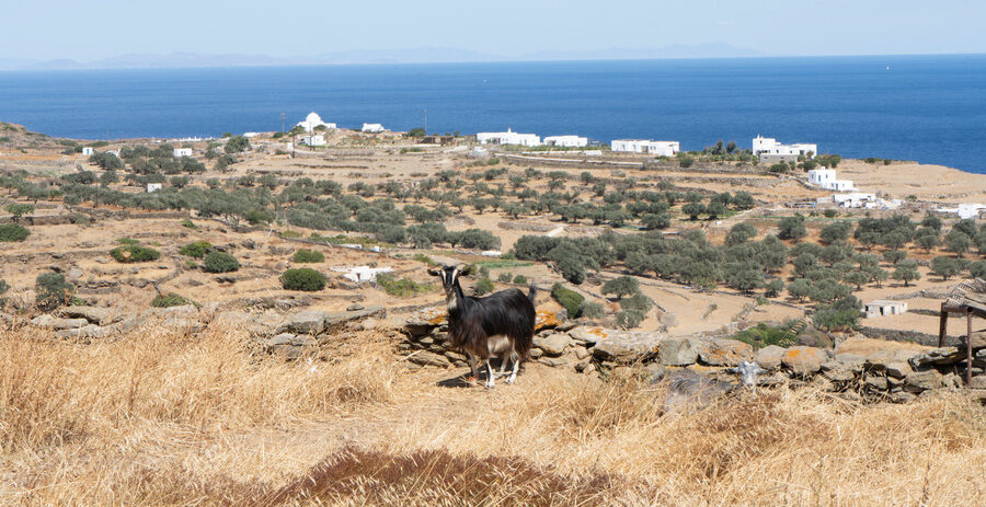 sifnos